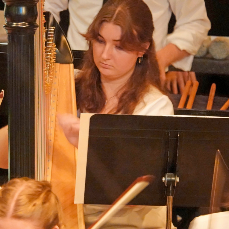 woman playing the harp